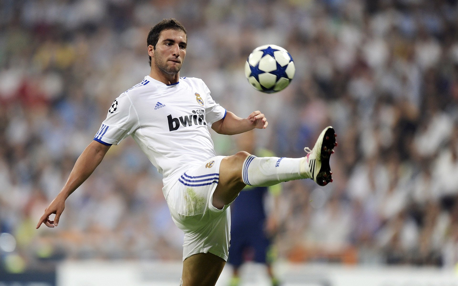 AYX体育-综合格斗赛场焦点！德国队对阵美国队，战况跌宕起伏，悬念直到终场